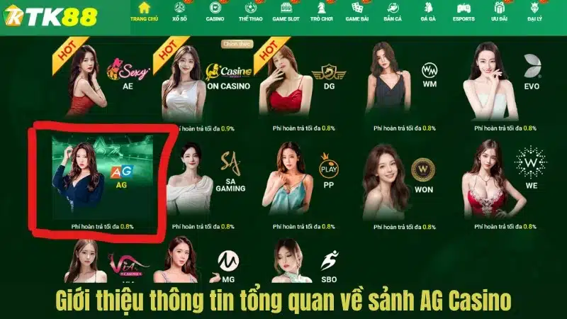 Giới thiệu thông tin tổng quan về sảnh AG Casino