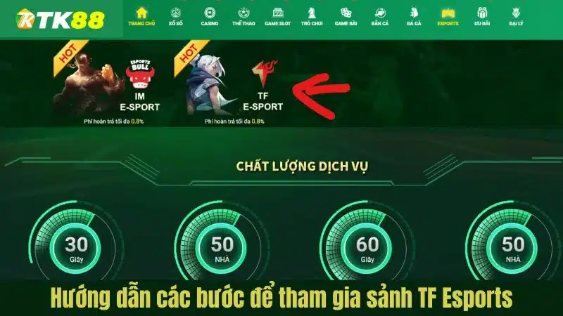 Hướng dẫn quy trình để tham gia sảnh TF Esports