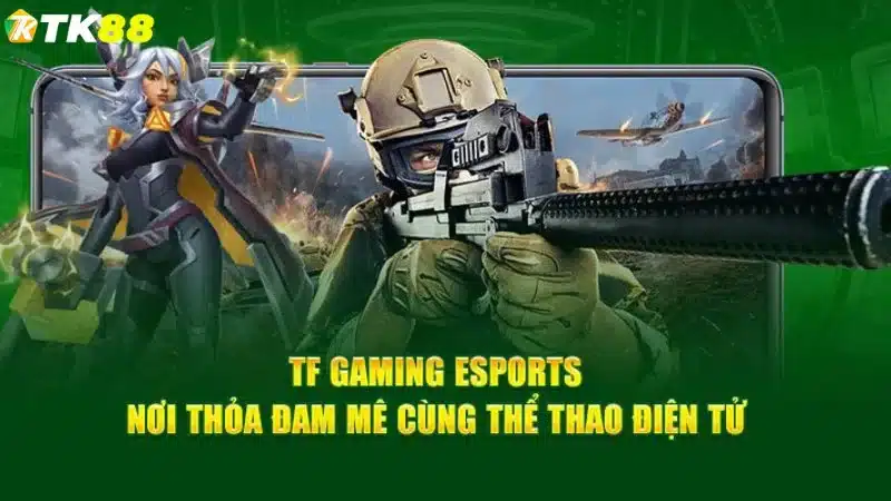 Khám phá thông tin chung về sảnh TF Esports