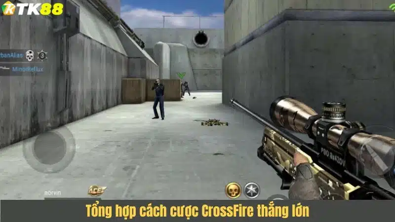 Tổng hợp cách cược CrossFire thắng lớn